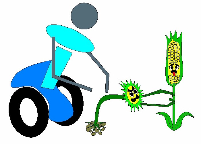 farm robot concept image - weed corn