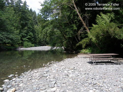 Chemainus River with picnic table