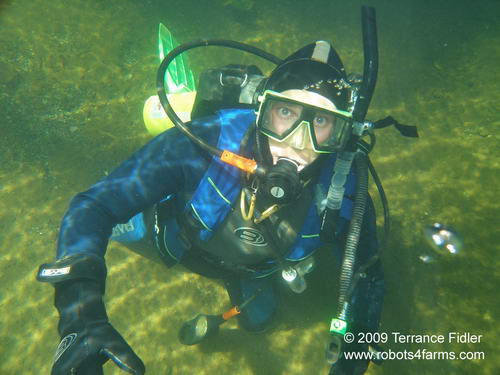 Scuba diver diving in the Chemainus River on Vancouver Island near Duncan British Columbia