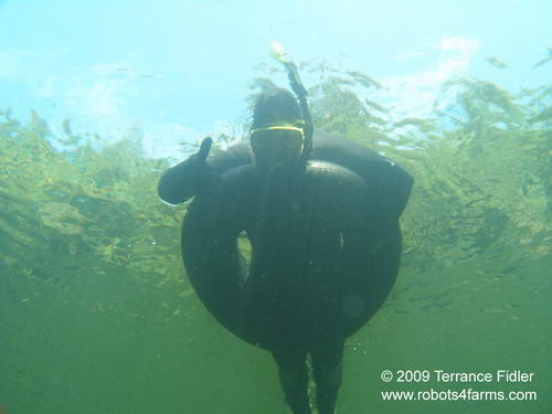 Tubing and floating in the Chemainus River