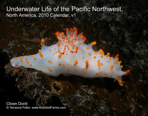 Clown Dorid 2010 Calendar Cover