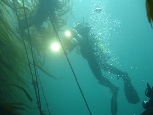 Terry the Scuba Diver and his camera diving near Port Hardy on Vancouver Island