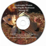 Under water photo CD 02 with images for wall paper
